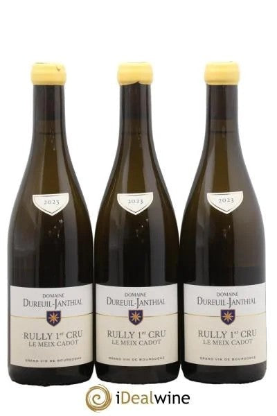 Rully1erCruLeMeixCadotVincentDureuil-Janthial2023
