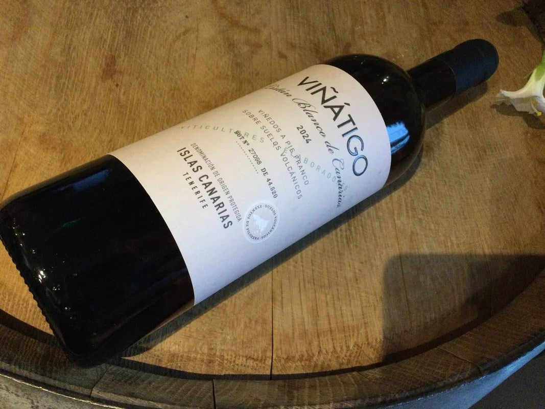 BodegasViñátigoListánBlanco2024