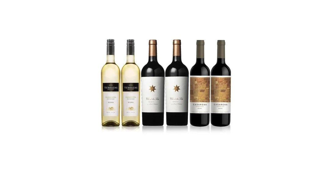 FoothillsofArgentina–MixedWineCase6x75cl