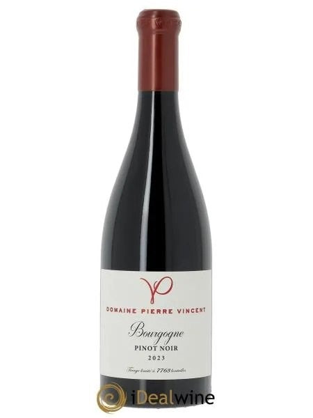 BourgognePinotNoirPierreVincent2023