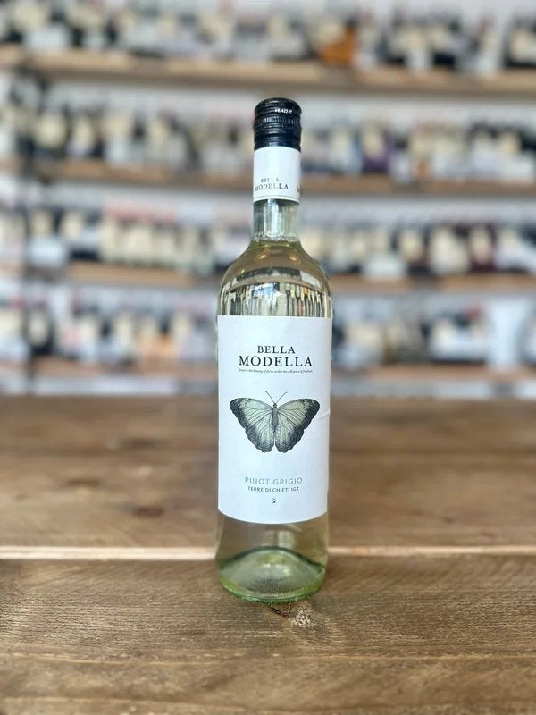 BellaModella,PinotGrigio,IGTTerrediChieti,Abruzzo,2023