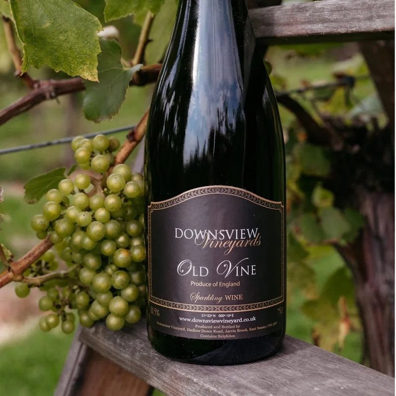 DownsviewVineyardOldVineSparklingWhite2020