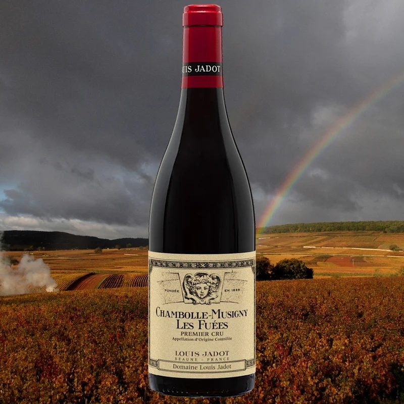 DomaineLouisJadotChambolle-MusignyLesFuees1erCru2015