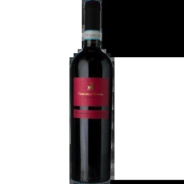 Montepulcianod’AbruzzoRiservaTerredellaBrunda2021–Botter