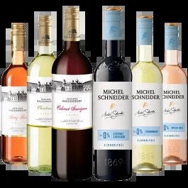SchlossRaggendorf&MichelSchneider6-BottlesCase