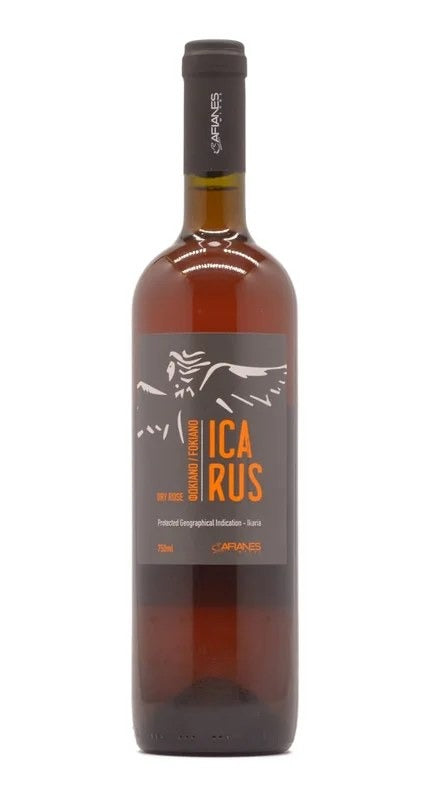 Icarus2019