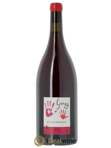CoteauxBourguignonsGamayMélissaBazinetRomainDeMoor2023