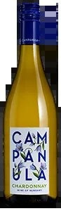 CampanulaChardonnay2024
