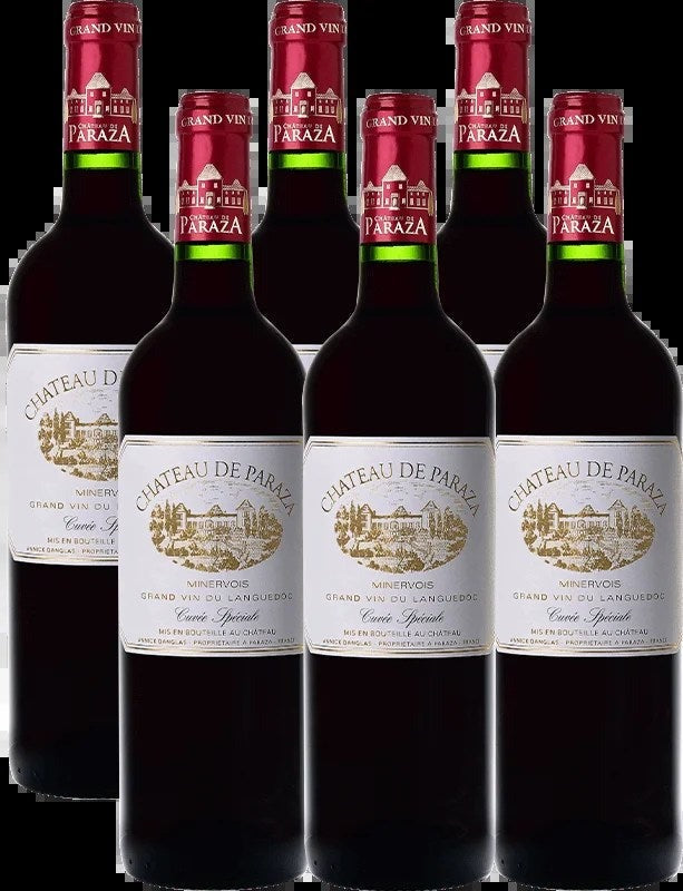 ChâteaudeParaza6BottleCase