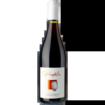 Pradelou2023–DomainelaTerrassed’Elise