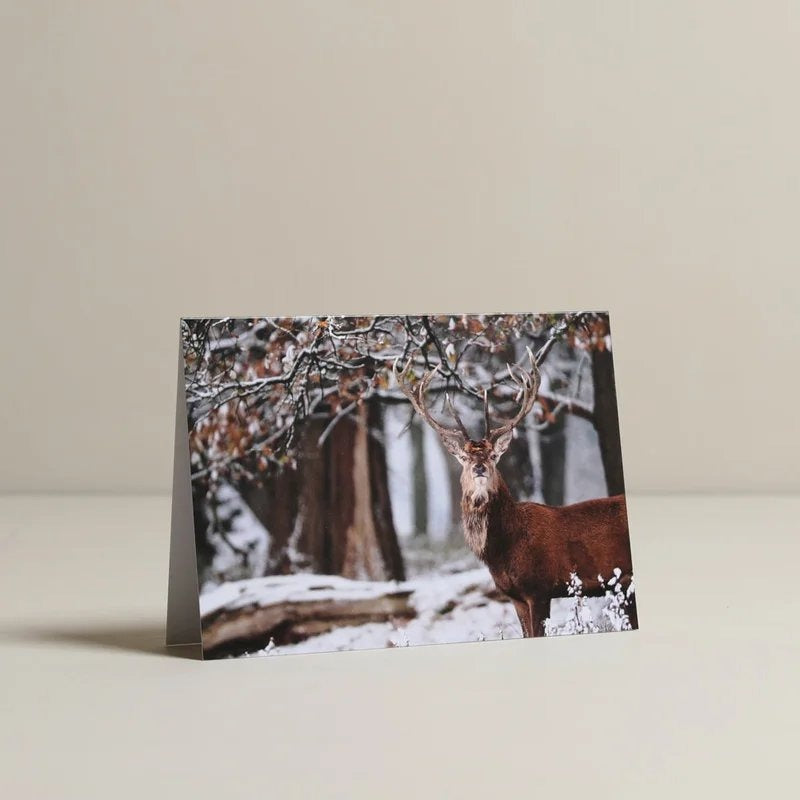 StagintheParkChristmasCards