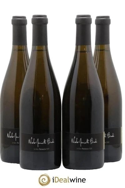 PatrimonioPastoreccieNicolasMariottiBindi2009