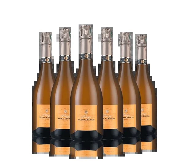 ChampagneNicoloetParadisUnlimitedOffer