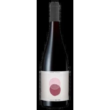 PinotNoir2024–SophieSchaal