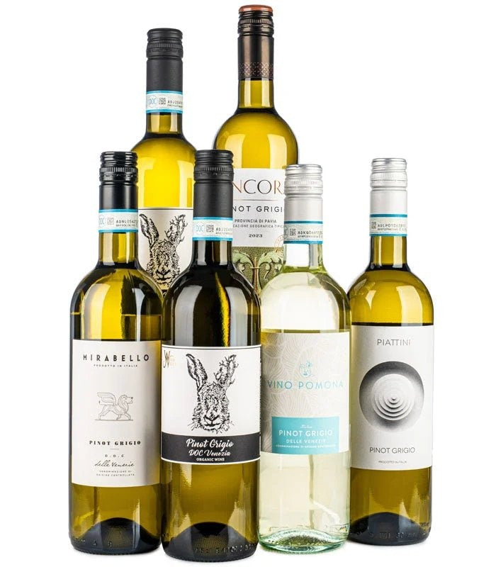 PopularPinotGrigioCase