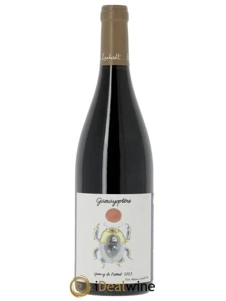 CoteauxBourguignonsGamayoptèreAntoineLienhardt2023