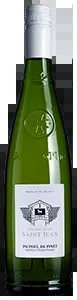 LesHautsdeSaintJeanPicpoul2024