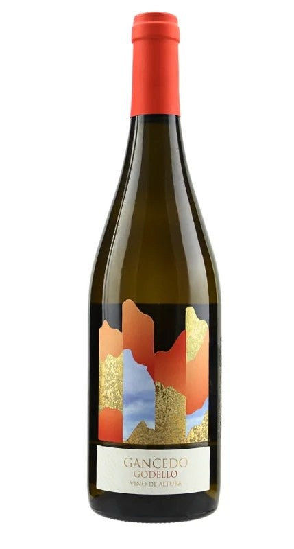 2024BodegasyViñedosGancedoGodello