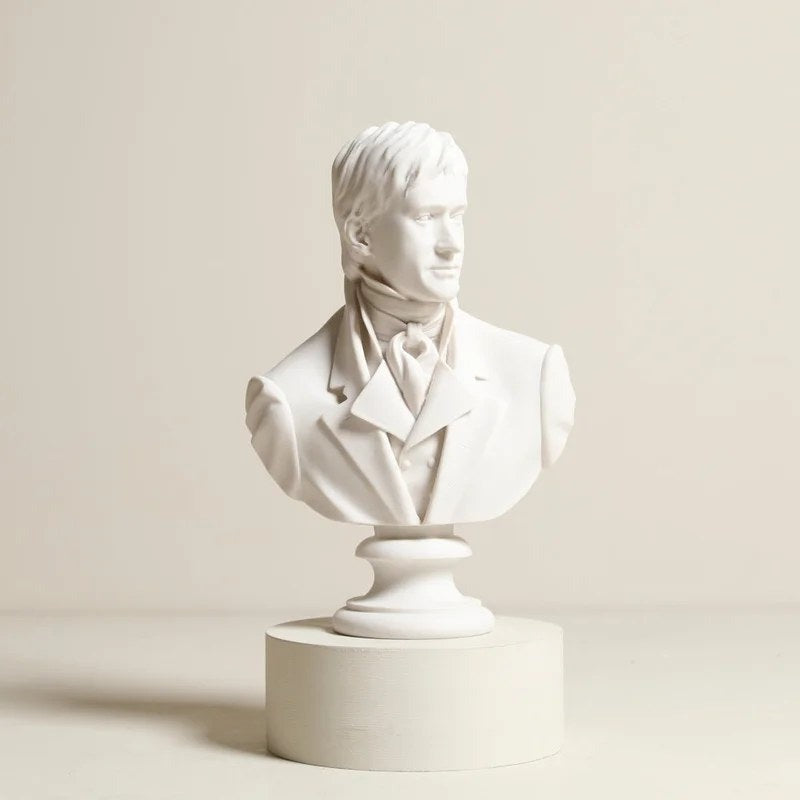 MrFitzwilliamDarcyBust