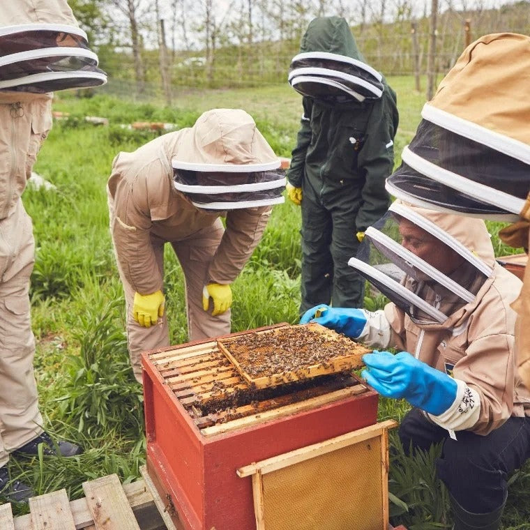 Bee-KeepingExperience