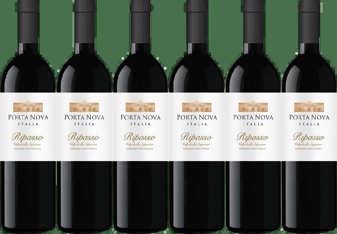 PortaNovaRipasso6BottleCase