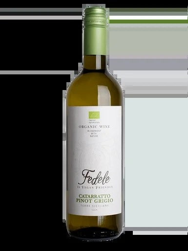 FedeleOrganicCatarrattoPinotGrigioTerreSiciliane