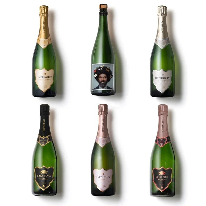 HattingleySparklingDiscoveryCase