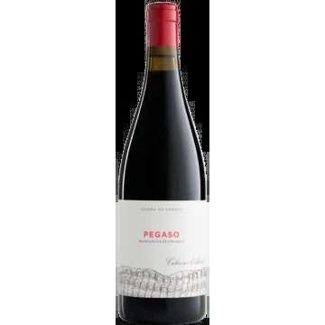 Pizarra2022–Pegaso–TelmoRodríguez