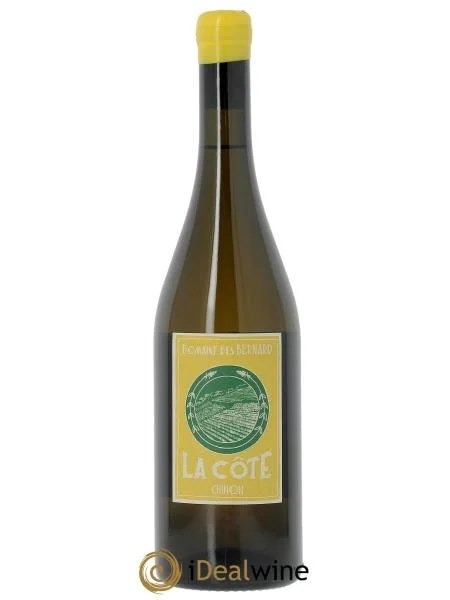 ChinonLaCôteDomainedesBernard2023