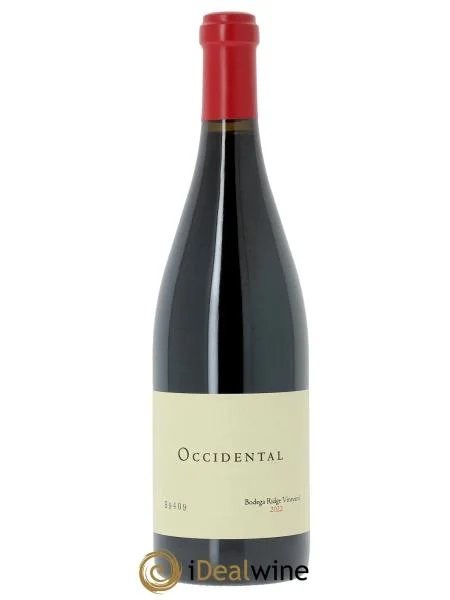 SonomaCoastOccidentalBodegaRidgeVineyard2022