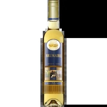 BrumaireNovembre2014–ChâteauBouscassé