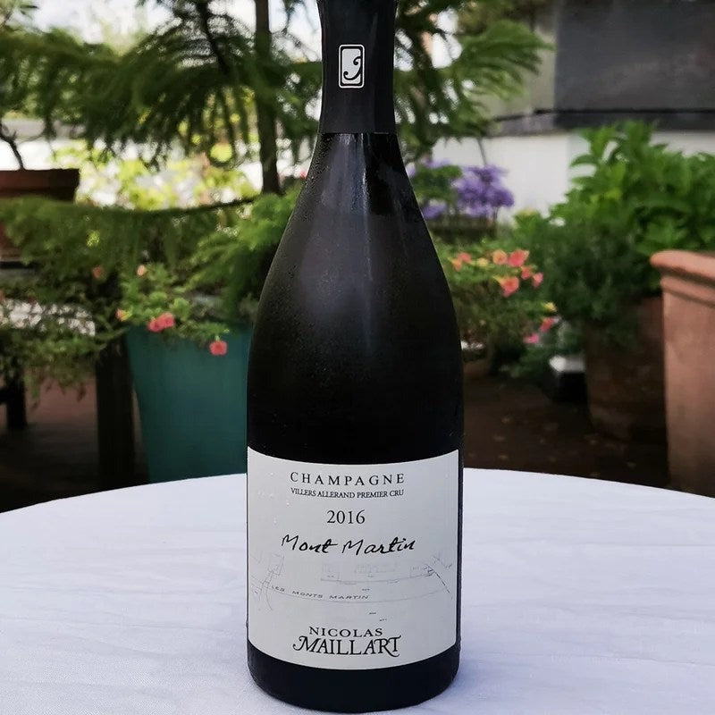 NicolasMaillartMontMartin2016