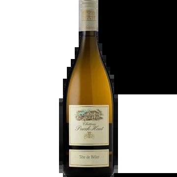 Magnum–TêtedeBélierblanc2023–ChâteauPuechHaut