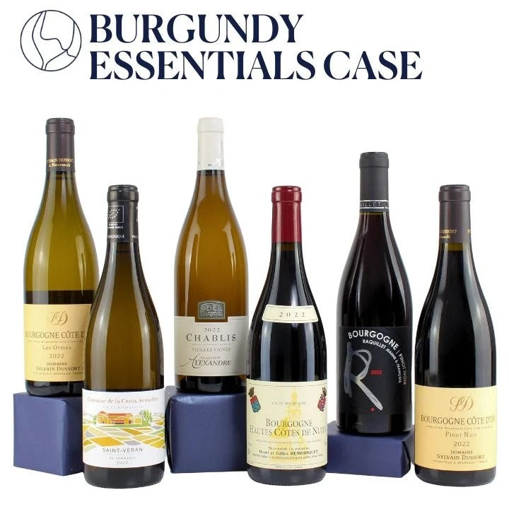Buyer’sChoice:TheBurgundyEssentialsCase