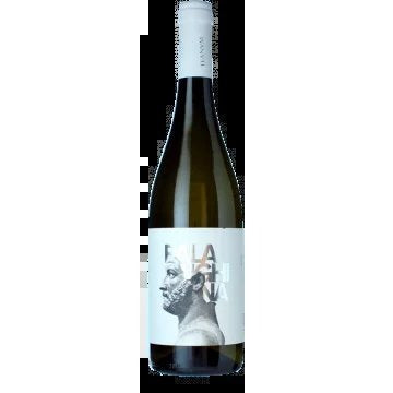 FavugnëFalanghinaBianco2025–CantineTeanum