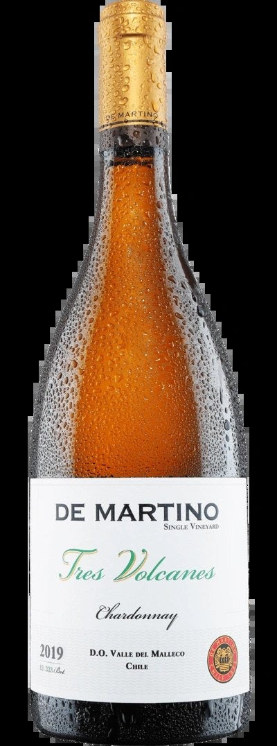 DeMartinoTresVolcanes2019