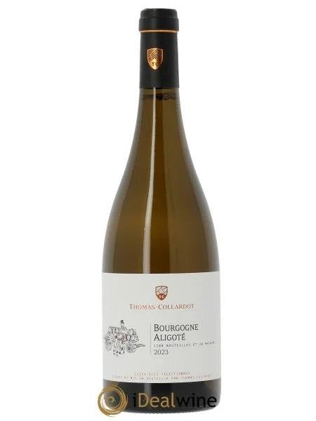 BourgogneAligotéThomas-Collardot(Domaine)2023