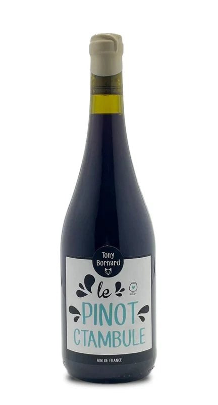 PinotCtambule2020