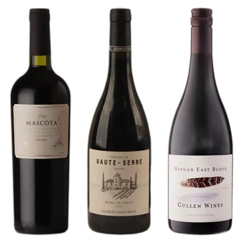 Remarkable3BottleMalbecWineSet