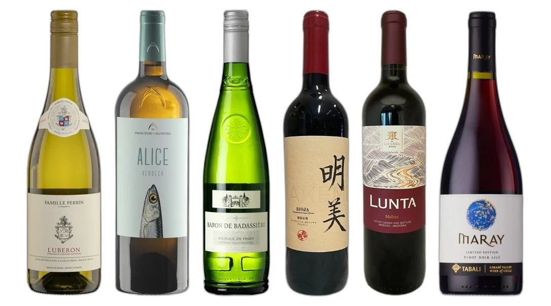 DiscoveryAutumnWineCase