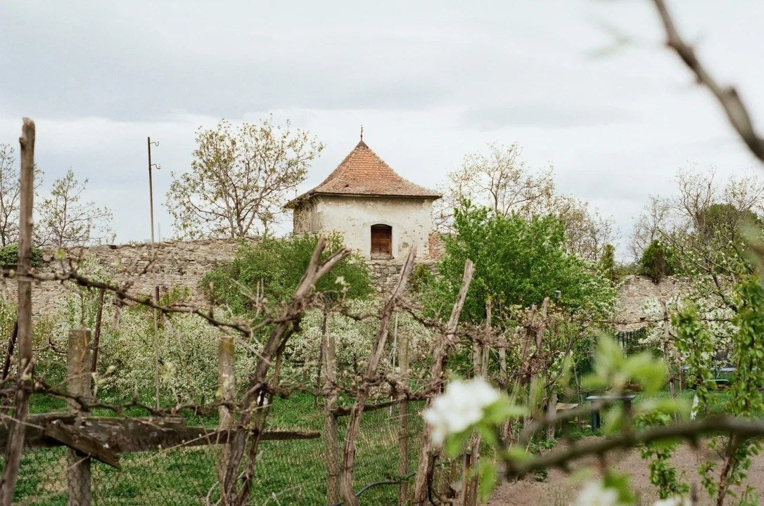 Romania&BulgariaWineTasting–Thursday15thJanuaryâ€?.30pm