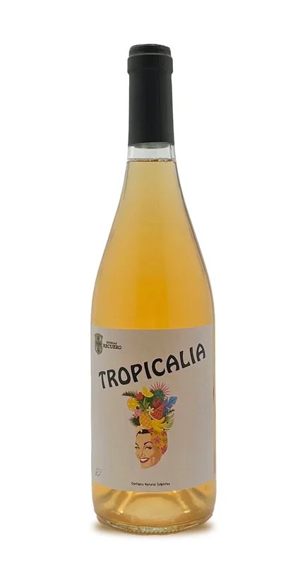 Tropicalia2023
