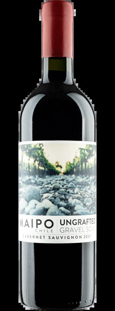 UngraftedCabernetSauvignon2021