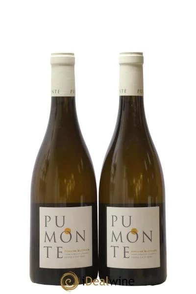 VindeCorseCalviPumonteDomaineAlzipratu2018