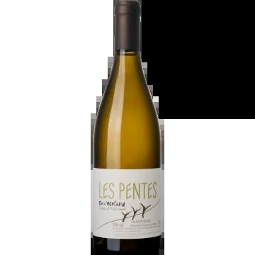 LesPentes2021–Closdel’Écotard