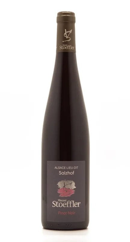PinotNoirSalzhof2019