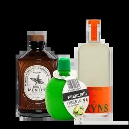 CranberryNojito–MocktailCase