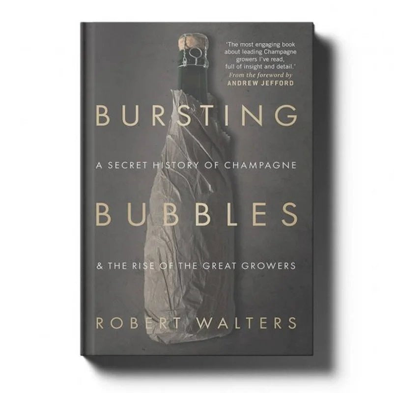 Book–BurstingBubblesbyRobertWalters