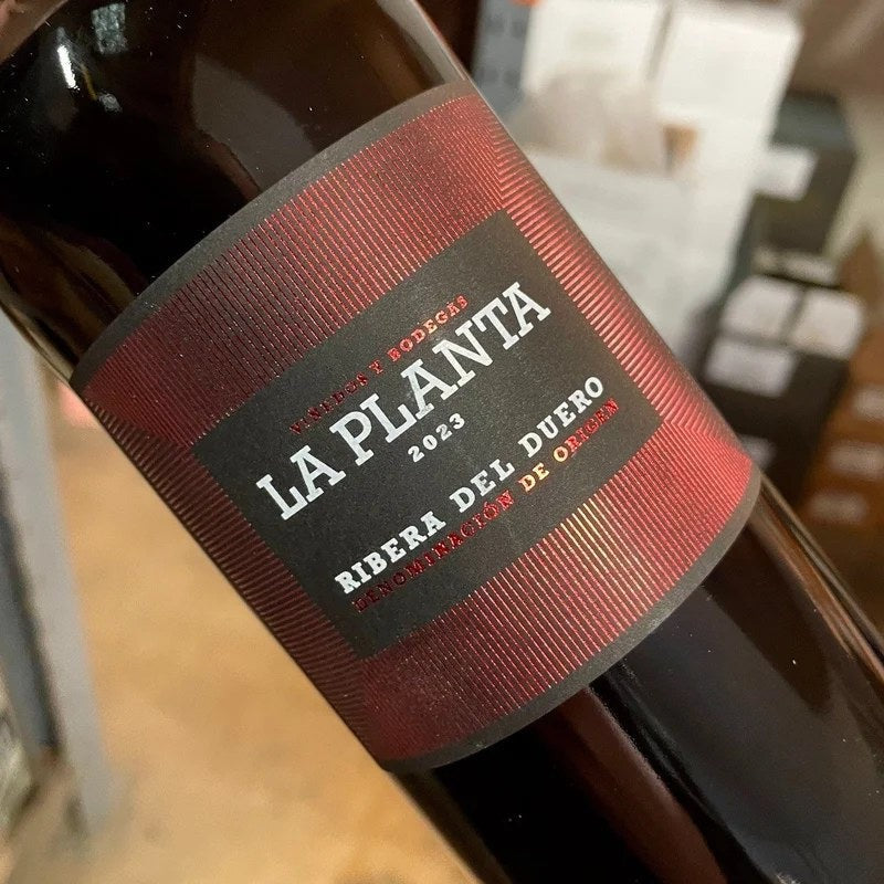 LaPlantaRiberadelDuero2023