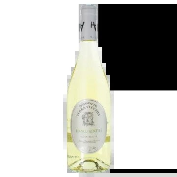 BiancuGentile2024–DomaineTerraVecchia